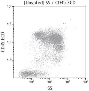 Fig 2A CD45 vs ssc